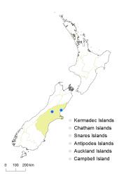 Cardamine coronata distribution map based on databased records at AK, CHR, OTA & WELT.
 Image: K.Boardman © Landcare Research 2018 CC BY 4.0